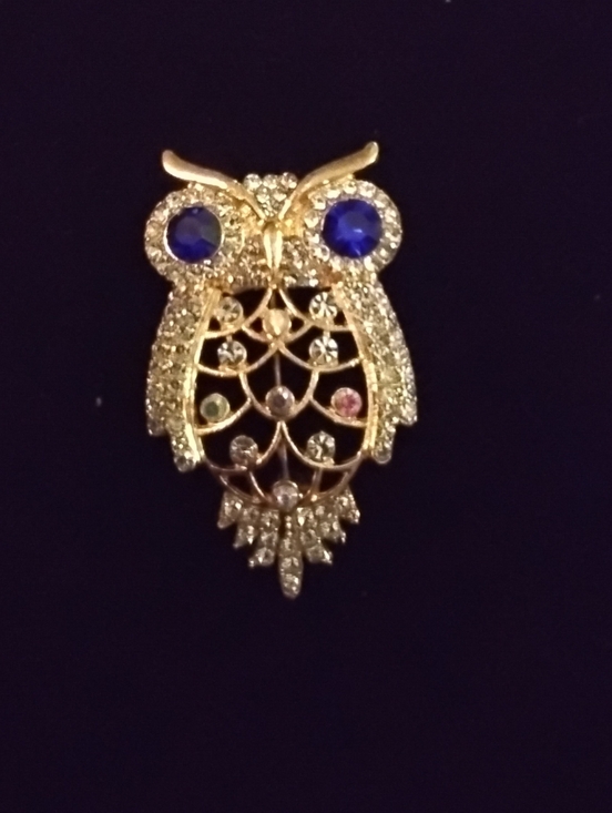 Jewelry - Owl Brooch